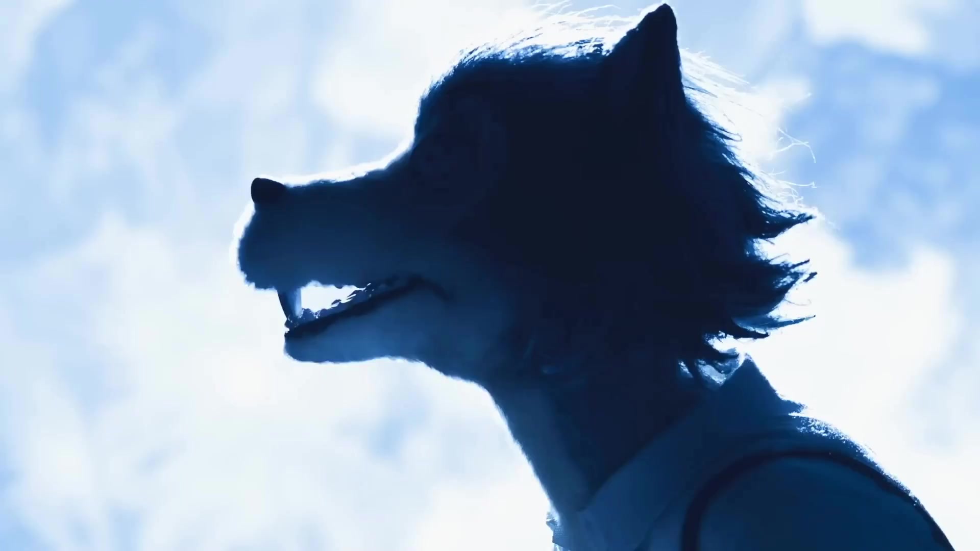 [Tsukyio Editing Resources] Beastars OP Precut_1-10x-RIFE-RIFE4.0-239.7602fps (tsukyioxyz).mp4